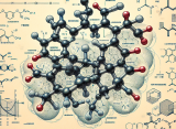 Mildronate Dihydricume y resistencia a la insulina