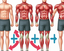 Qué cambios hay en el tono muscular al usar Tamoxifeno