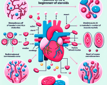 Cómo reacciona el sistema cardiovascular a Cursos de esteroides para principiantes