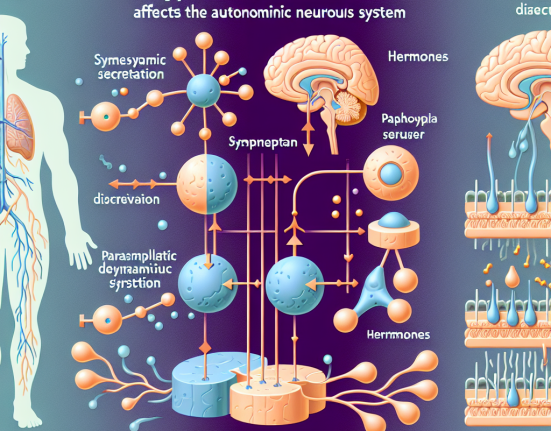 Cómo afecta Dehydroepiandrosteron al sistema nervioso autónomo